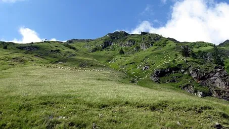 Rubrik_Naturschutz-Karpeten-c.pixabay-highlands-406677__340